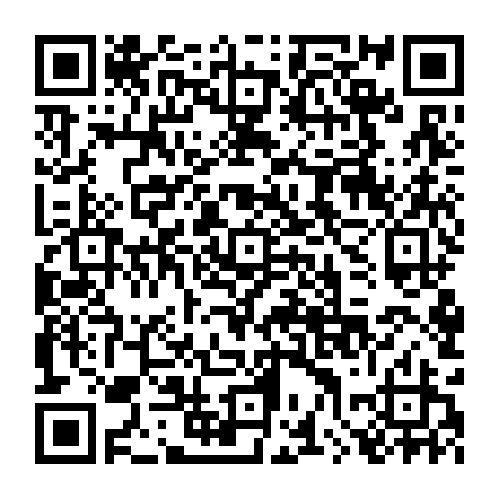 79510498559