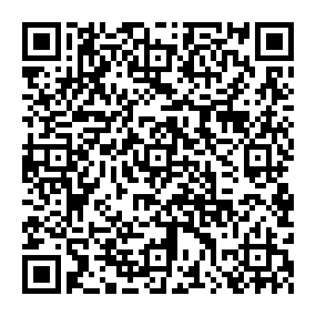79511300411