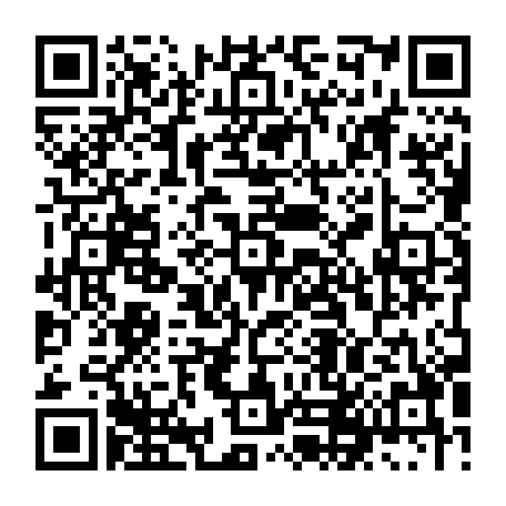 79511600804