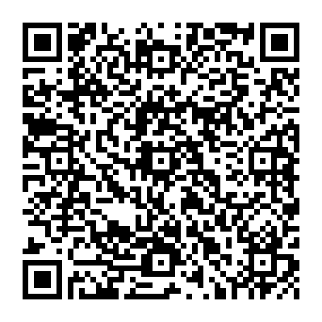 79511600956