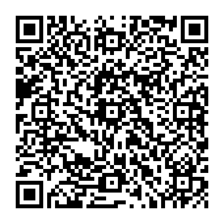 79512204181