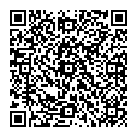 79512204811