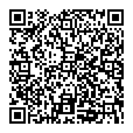 79519925919