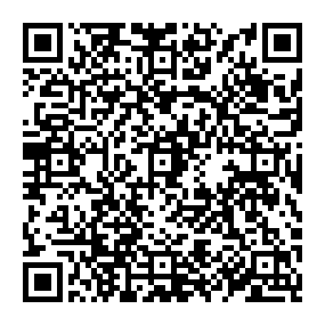 79519958008
