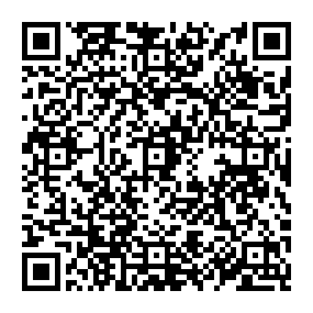 79519964155