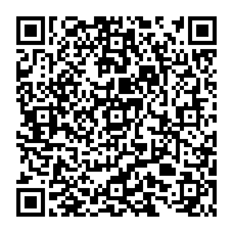 79519964877