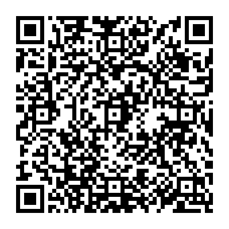 79519965041