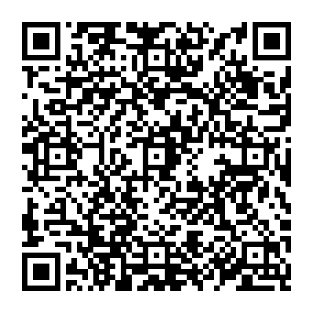 79519965881