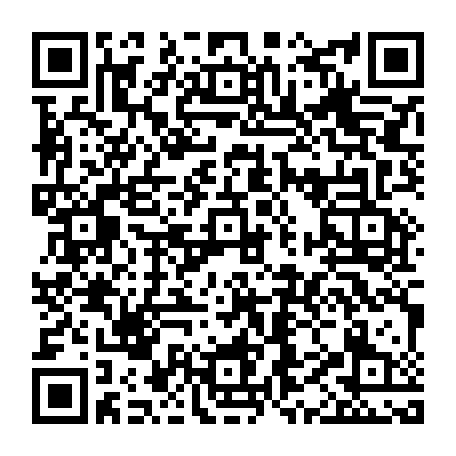 79520952333