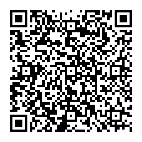 79520952877