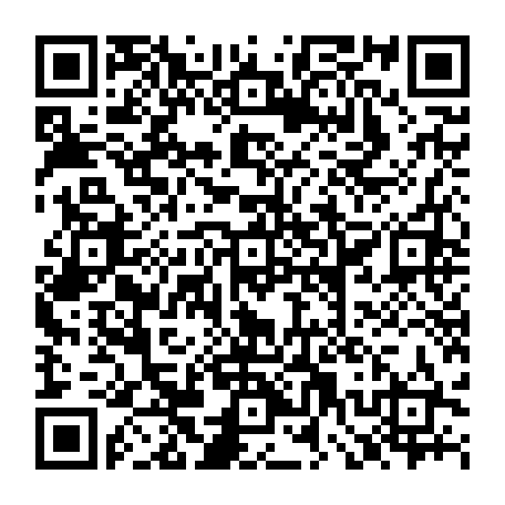 79520955011