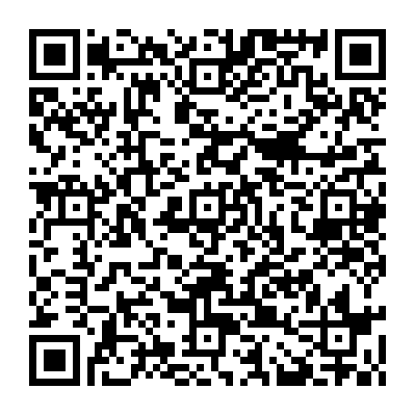 79521500904