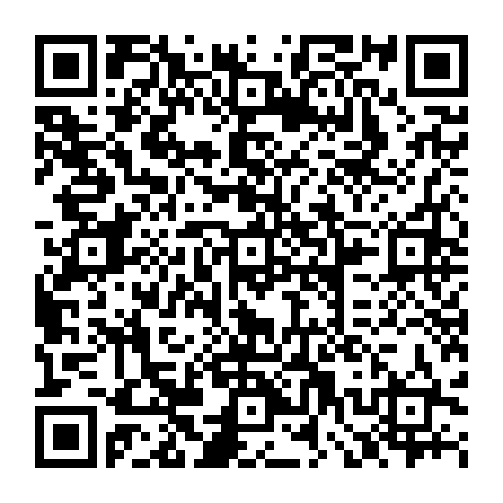 79522003049