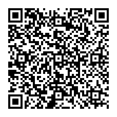 79522003331