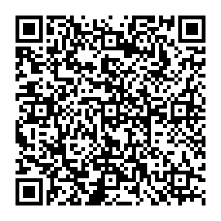 79522003382