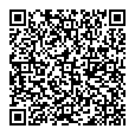 79522003504