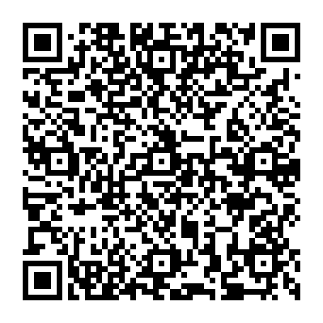 79527528402