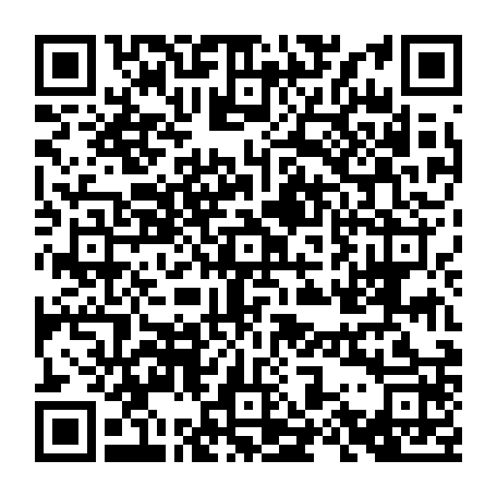 79530351264