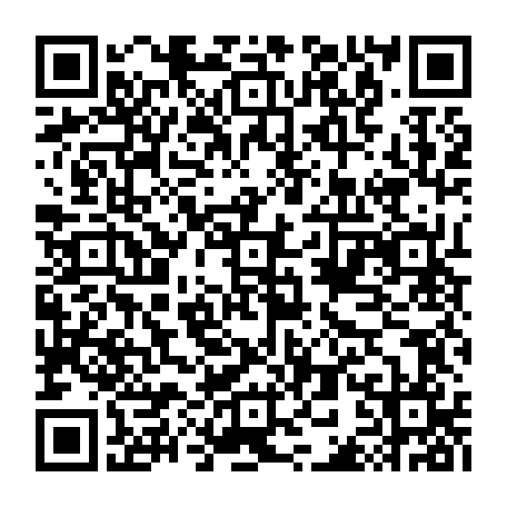 79533402065