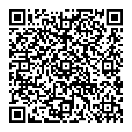 79540504292