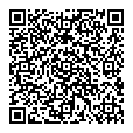 79544002955