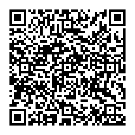 79544002997