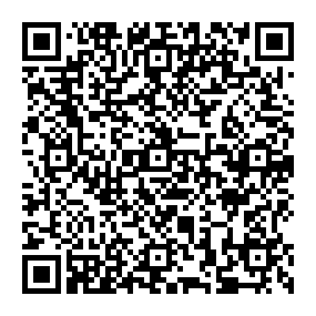 79580020295