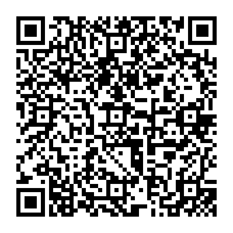 79580250491