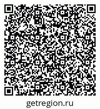 79580304411