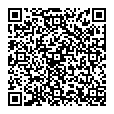79580319294