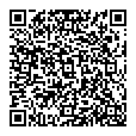 79580323411