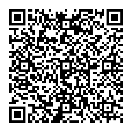 79580365555