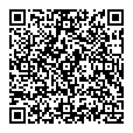 79580452884