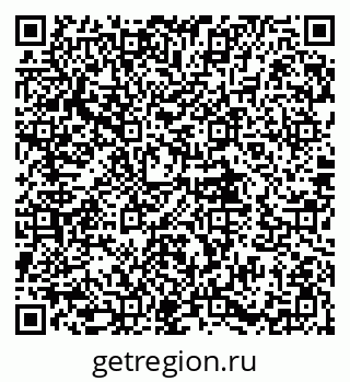 79580491006
