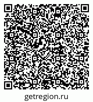 79580495005