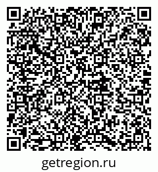 79580495381