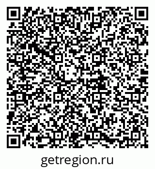 79580495558