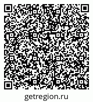 79580498831