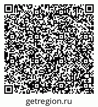 79581891004