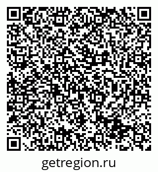 79581894384