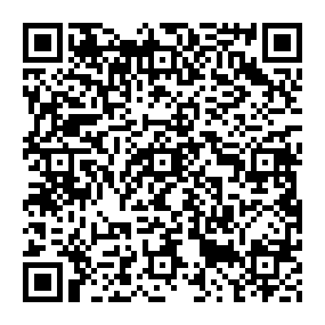 79581955740