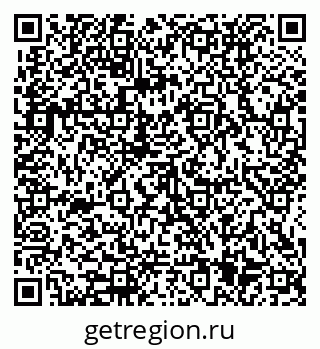 79584535558