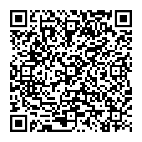 79585130881