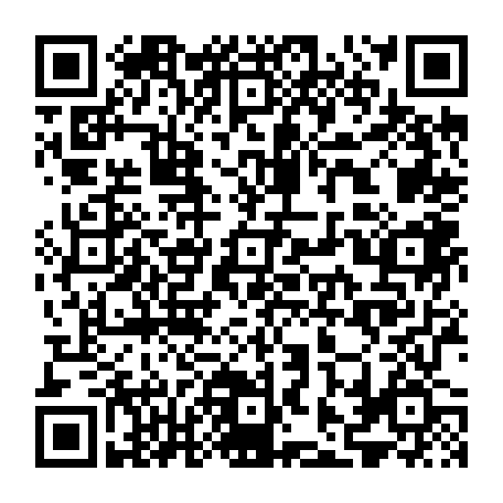 79611003856