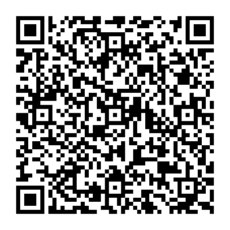 79611003858