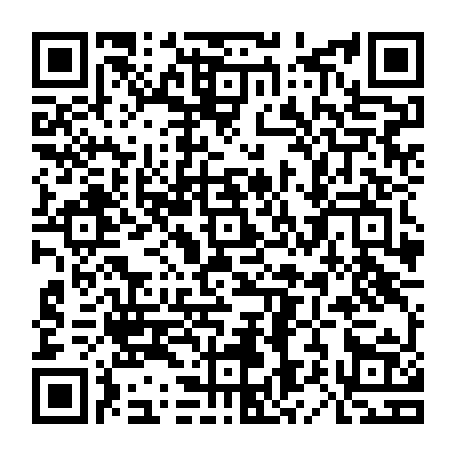 79611004739