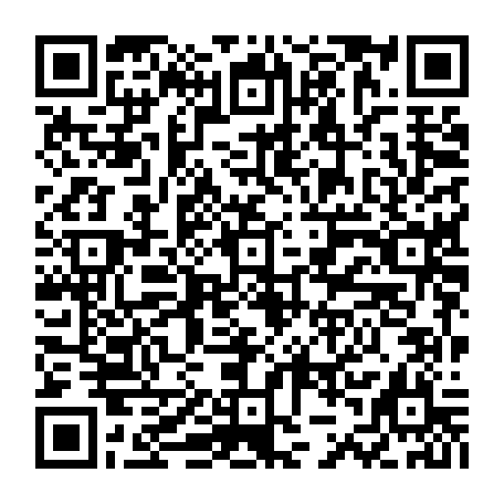 79613328675