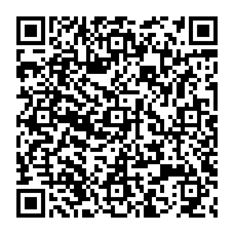 79613328771