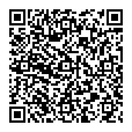 79613328803