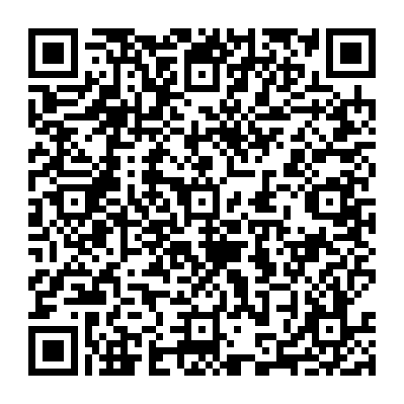 79613328858